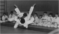 Judo in Berching